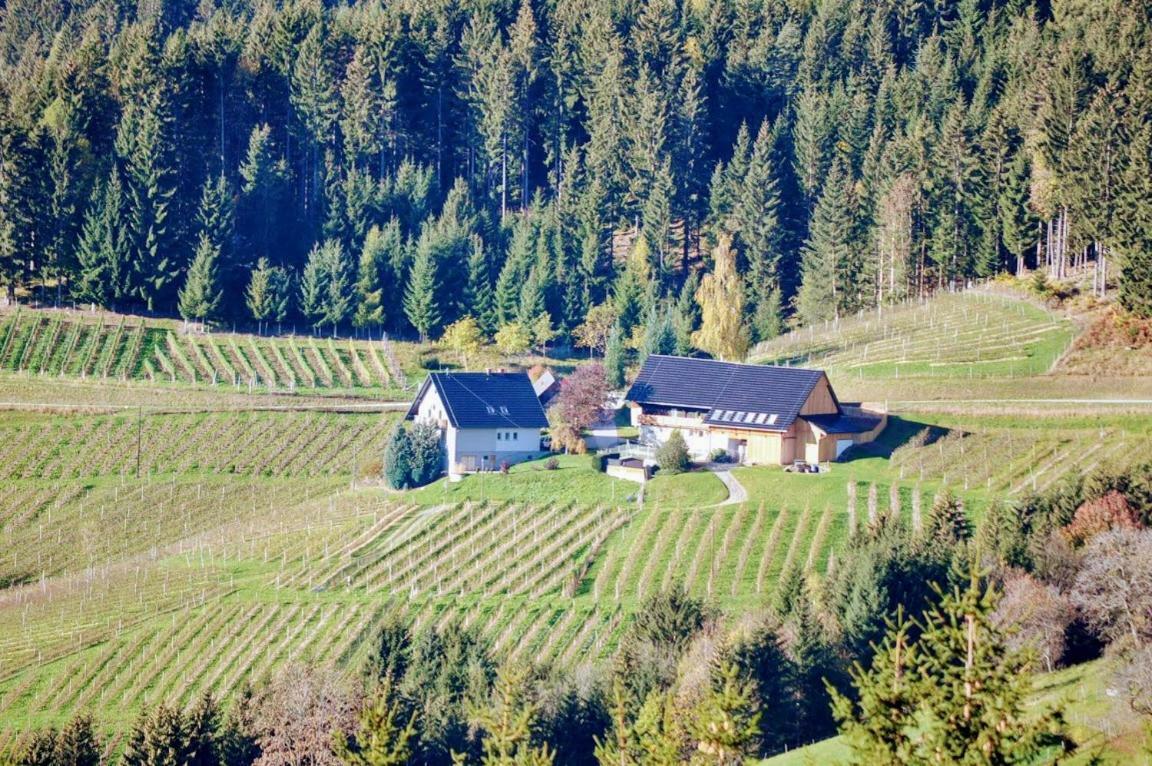 Ferienwohnung Kochs Beeren Oberfresen Экстерьер фото